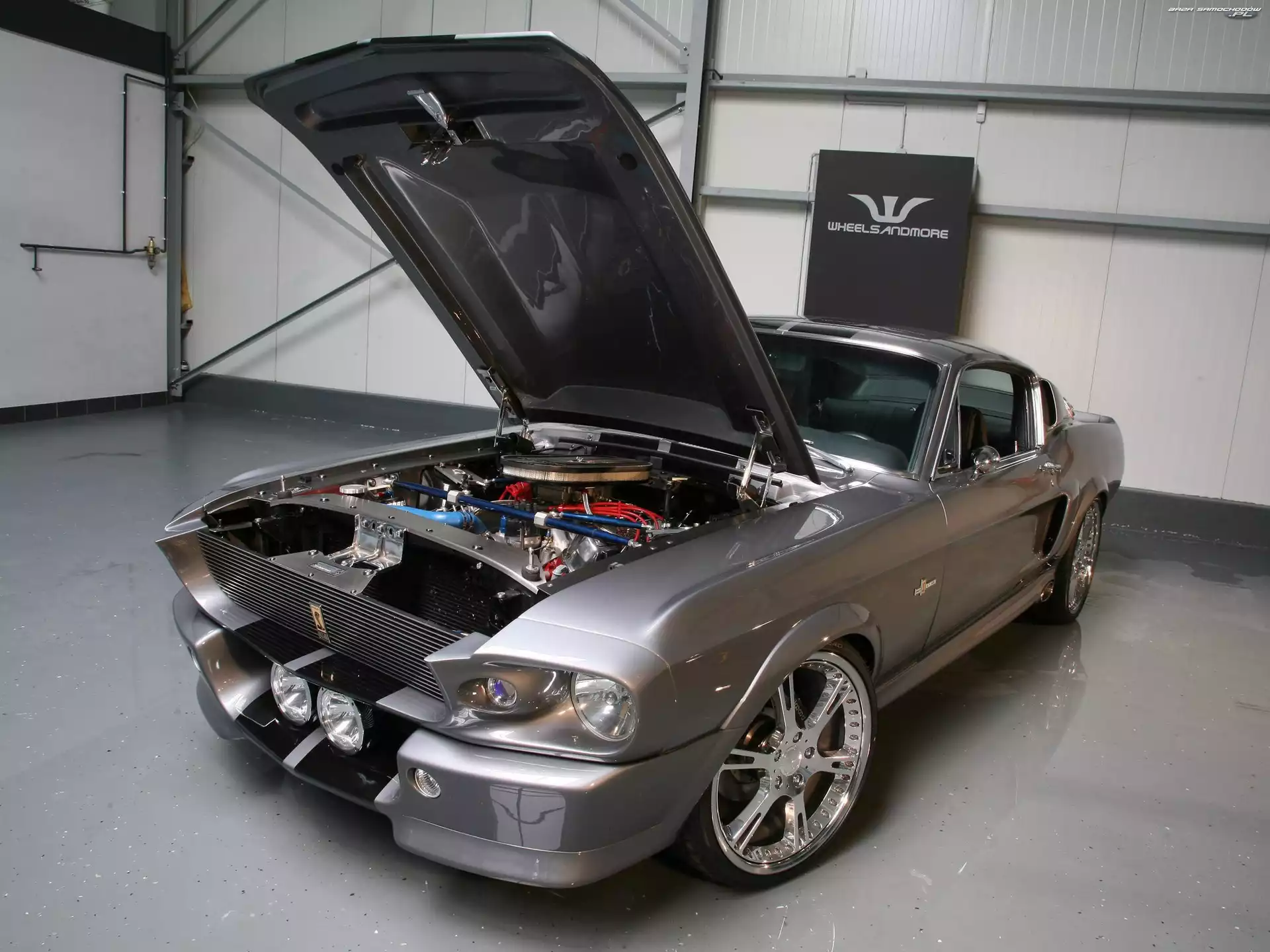 GT500, Maska, Ford Mustang, Otwarta