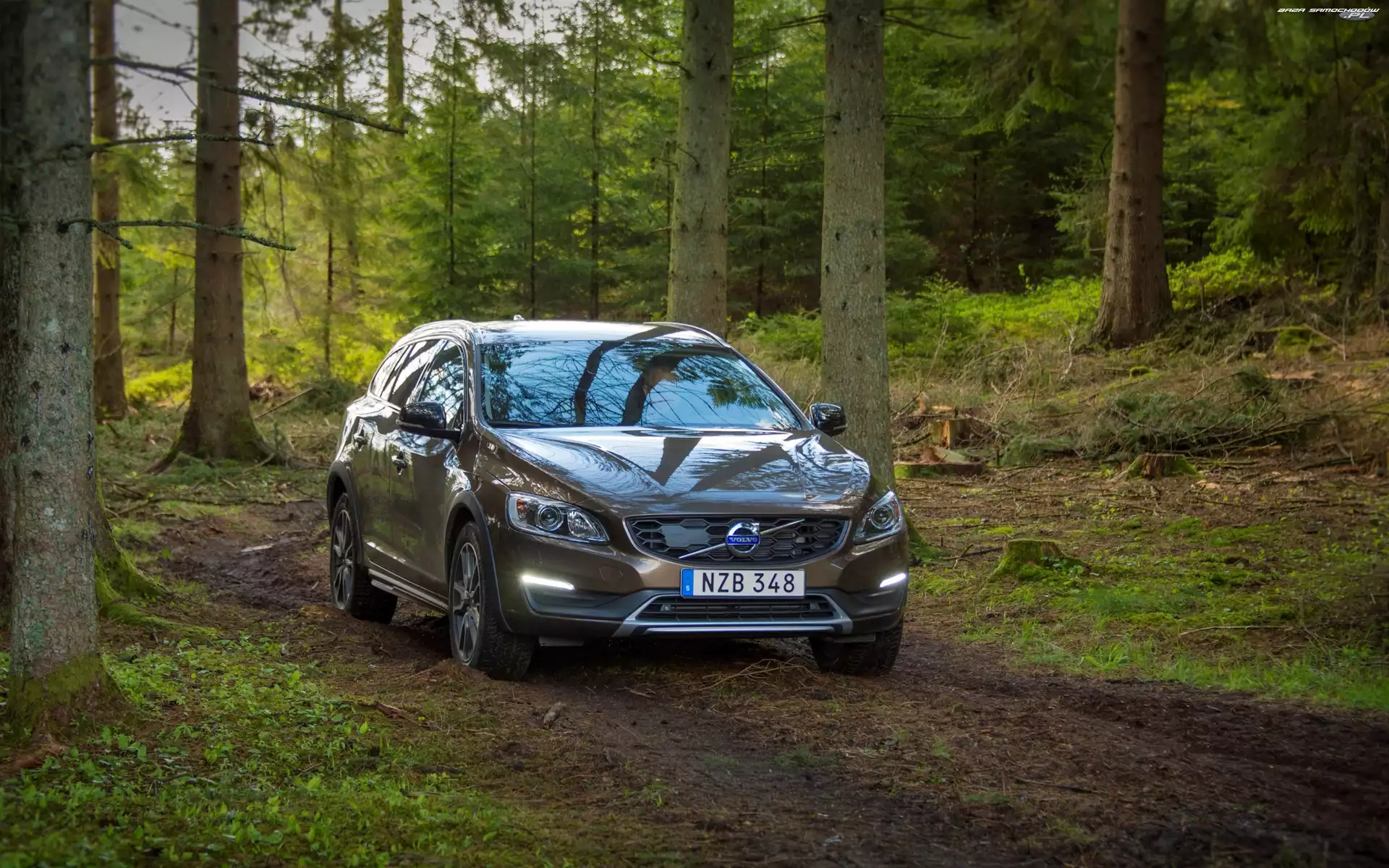 Las, Samochód, Volvo V60