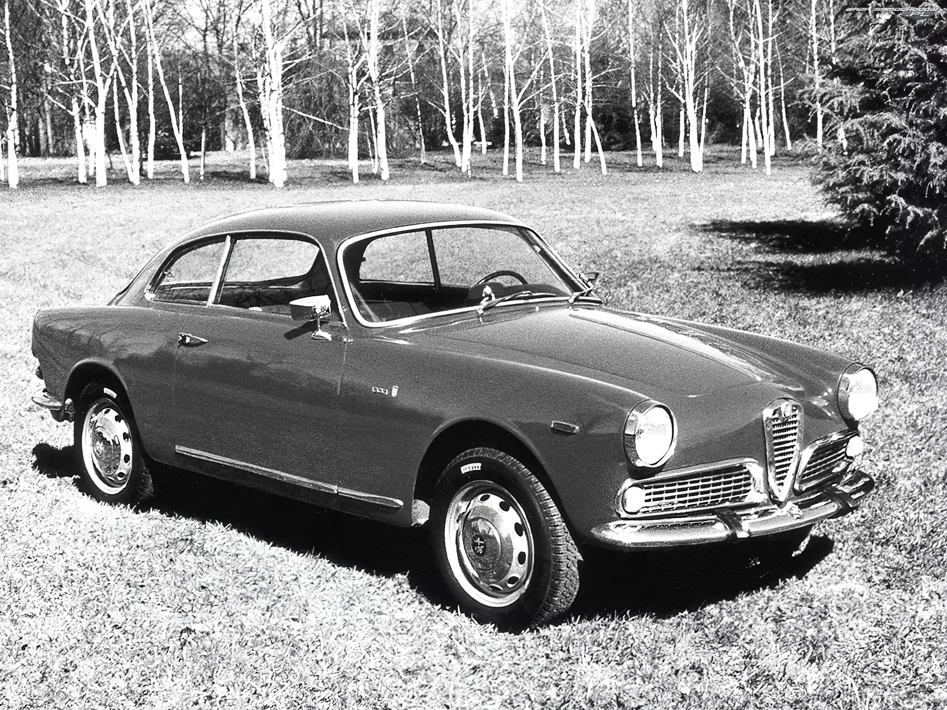 maska, opony , koła , Alfa Romeo, światła