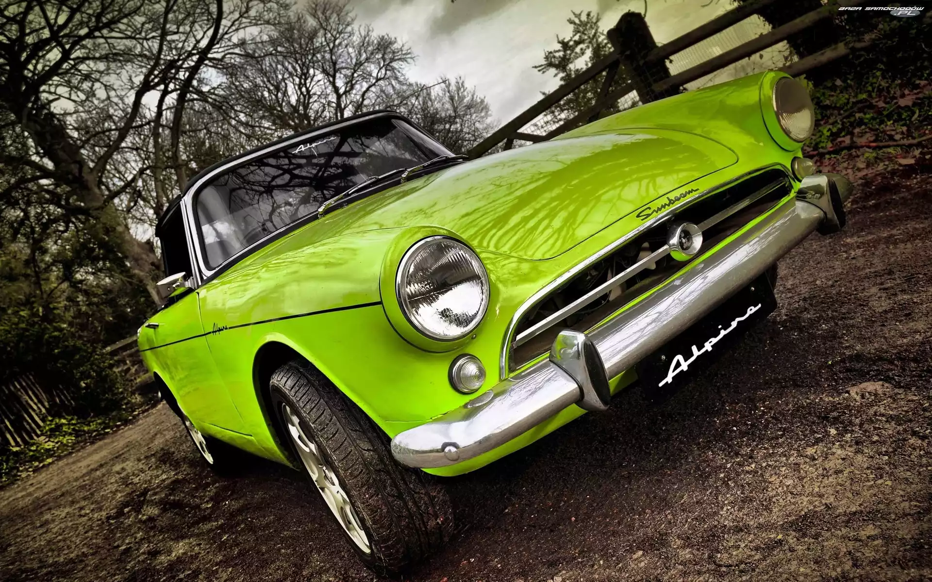 Podwórko, Ogrodzenie, Sunbeam Alpine, Drzewa