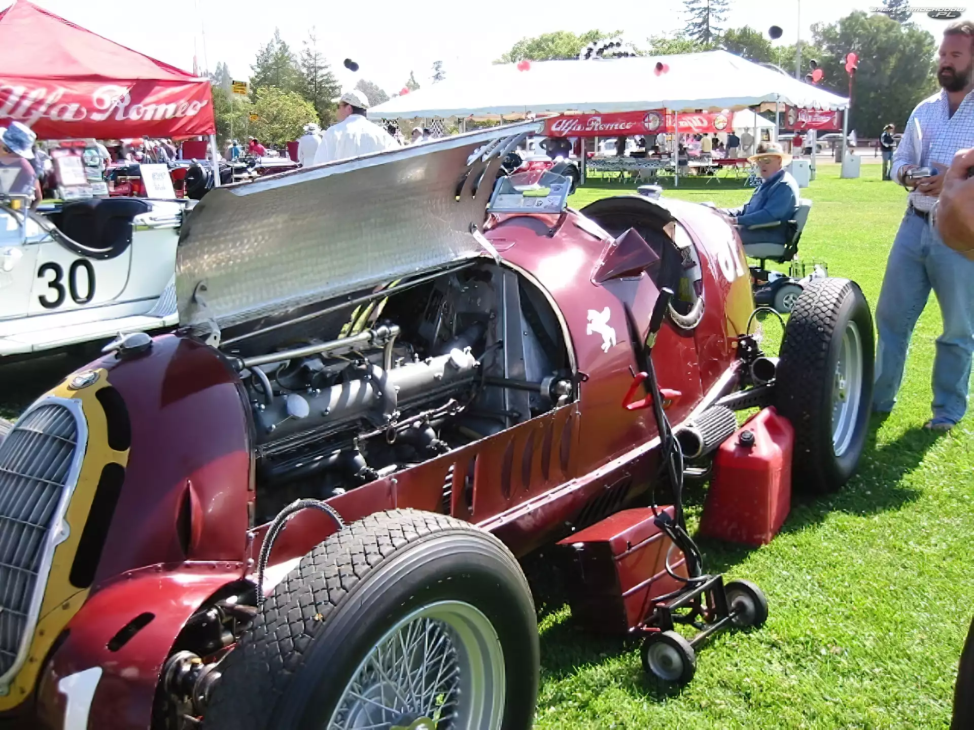 silnik, maska, Alfa Romeo, koło