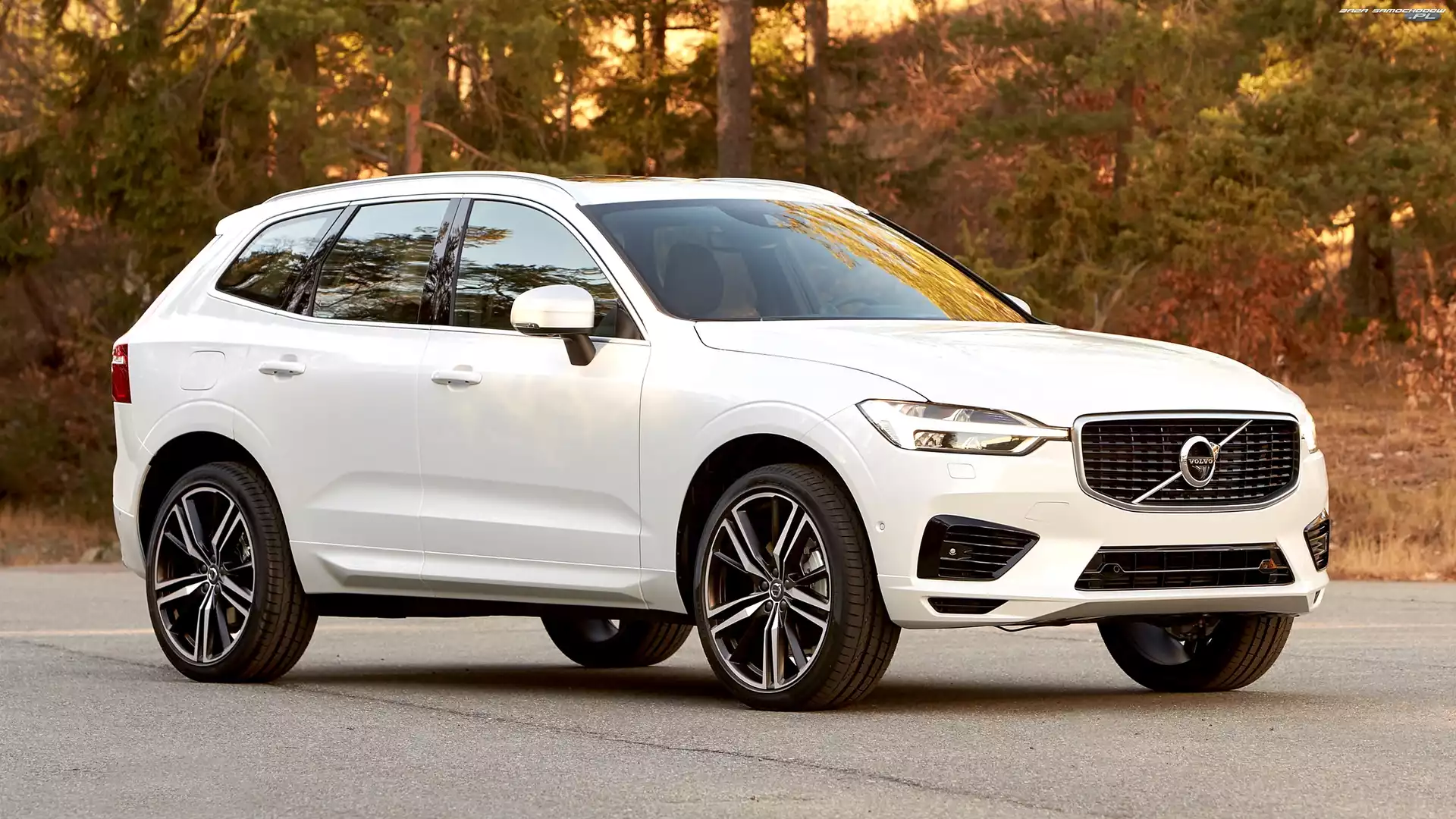 Volvo XC60, Las, Białe, 2017