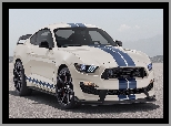 2020, Ford Mustang Shelby GT350 Heritage Edition
