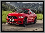 2015, Czerwony, Ford Mustang