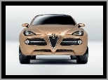 Alfa Romeo Kamal, Przód