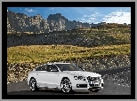 Białe, Audi A7