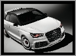 Audi A1 Clubsport, Maska