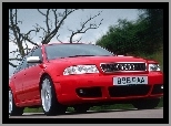 Audi RS4, Czerwone
