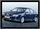 Audi A6, Granatowe