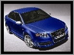 Audi RS, Niebieskie
