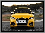 Żółty, Audi, TT
