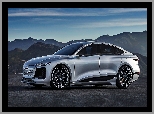 Audi A6 e-Tron, Concept