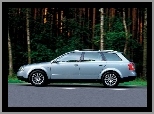 Audi A4, Avant, Drzewa, Lewy Profil