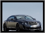 Reflektory, Bentley Continental GTC