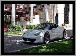Ferrari, Biały, Kwiaty, Dom, Samochód, 458 Italia