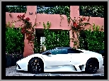 Biały, Lamborghini, Kwiaty, Dom, Murcielago, Samochód
