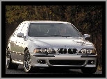 E39, BMW Seria M