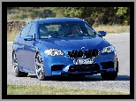 BMW F10, Niebieskie