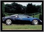 Prawy Profil, Bugatti Veyron