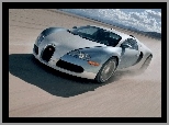 Bugatti Veyron, Prędkość, Srebrne, Pełna