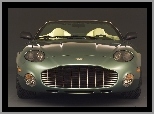 Chłodnica, Aston Martin DB AR1, Atrapa