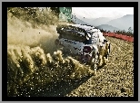 Citroen, WRC, Rajdowy, DS3