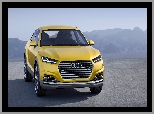 Concept, Audi, TT Offroad