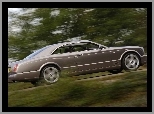 Coupe, Bentley Brooklands, Eleganckie