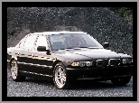 BMW E 38, Czarne