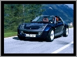 Czarny Metalik, Smart Roadster