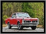 Czerwony, Pontiac, Zabytek, 1967, Samochód, GTO