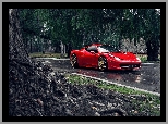 Droga, Czerwone, Ferrari 458 Italia