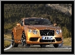 Droga, Bentley, Continental GT-V8