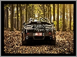 2012, Drzewa, Aston Martin V8 Vantage Roadster, Las