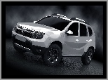 Dacia Duster, Grafika