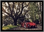 Ferrari F40, Drzewa