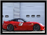 Ferrari 599, Tuning