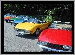 Fiat Dino, Zlot, Miłośników