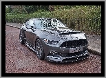 Ford Mustang Sutton CS800, 2017
