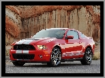 Shelby, Ford Mustang GT500