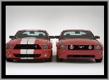 Ford Mustang i GT500