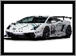 Pirelli, Lamborghini Gallardo