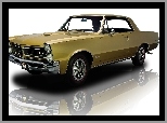 GTO, 1965, Zabytkowy, Samochód, Pontiac