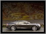 Hamulcowe, Bentley Continental GT, Tarcze