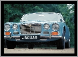 Zabytek, Jaguar
