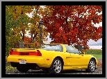 Jesień, Żółta, Acura NSX