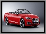 Kabriolet, Czerwone, Audi S5