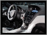 Konsola, Środkowy, Acura ZDX, Panel