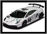 Lamborghini Gallardo, Wyścigowe, Malowanie