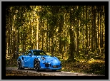 Las, Niebieskie, Porsche 911 GT3